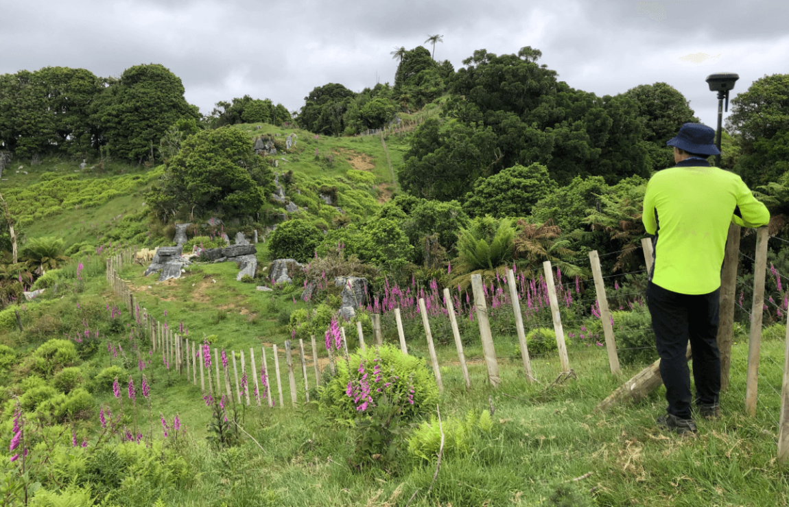 Wetland & Bush Protection Subdivisions